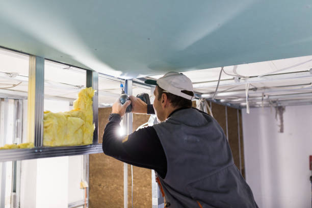 Best Specialized Insulation Services in Delta Junction, AK