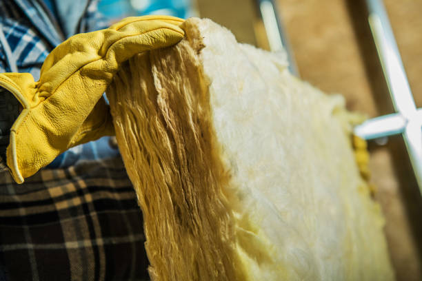 Best Fiberglass Insulation in Delta Junction, AK