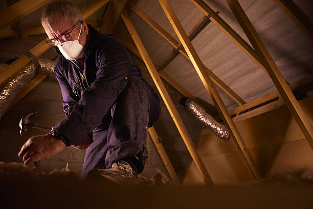 Best Cellulose Insulation in Delta Junction, AK